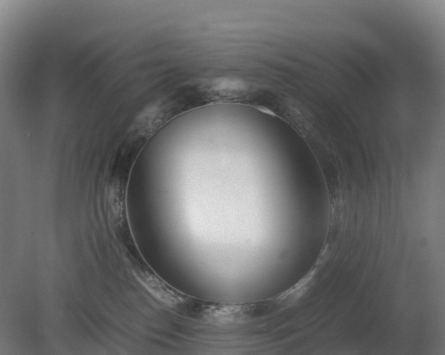X0000080110186200612151656