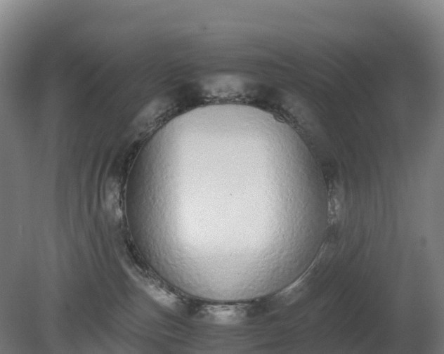 X0000080110187200612151656