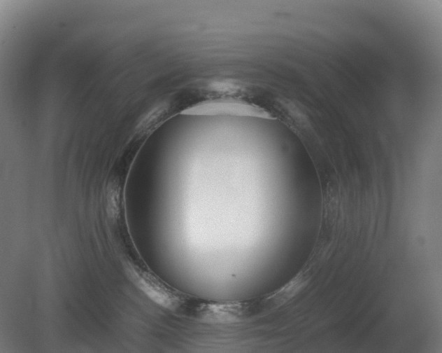 X0000080110188200612151656
