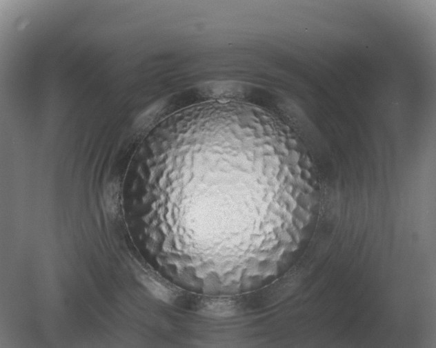 X0000080110189200612151656