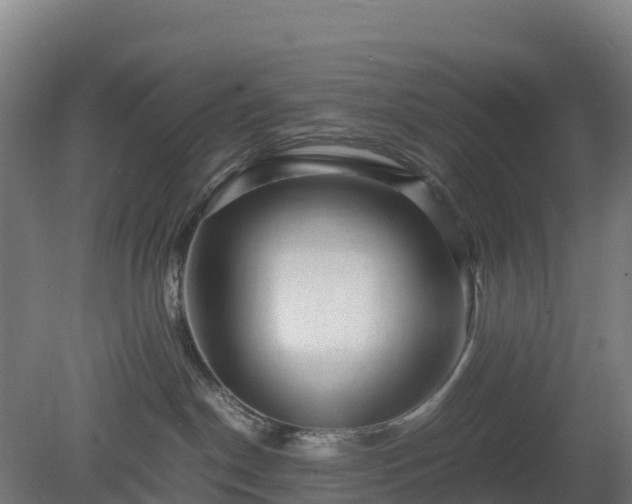 X0000080110190200612151656