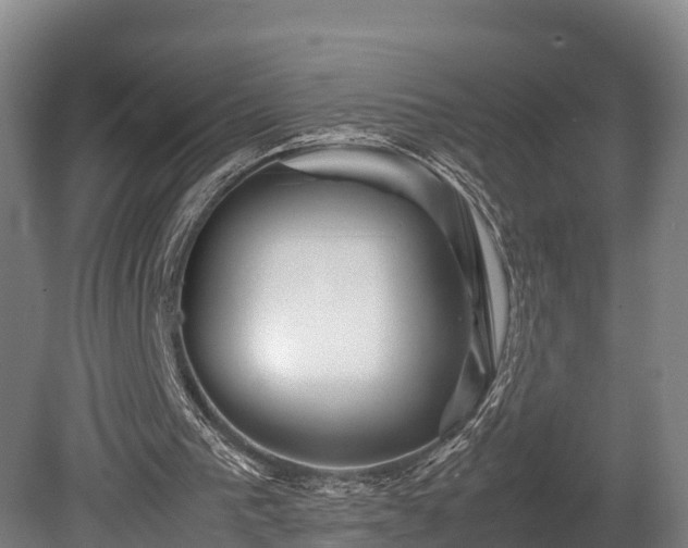 X0000080110193200612151655