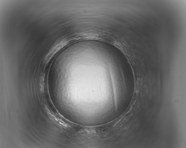 X0000080110194200612151655