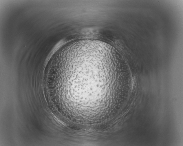 X0000080110195200612151655