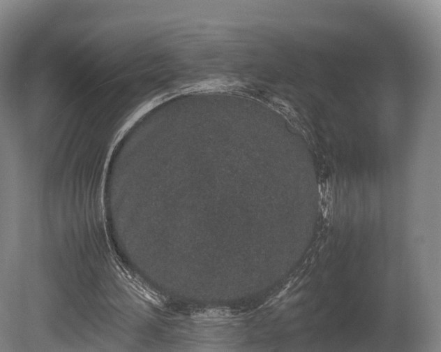 X0000080110196200612151655