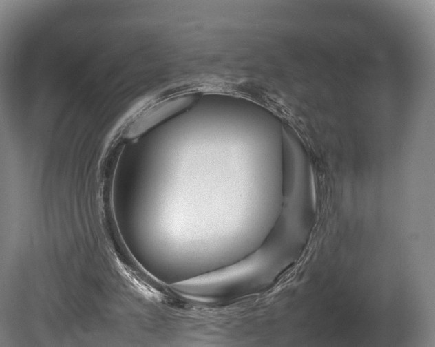 X0000080110197200612151655
