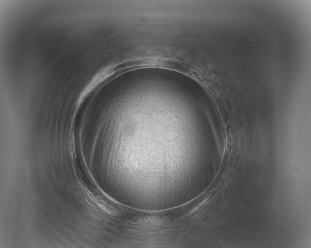 X0000080110198200612151655