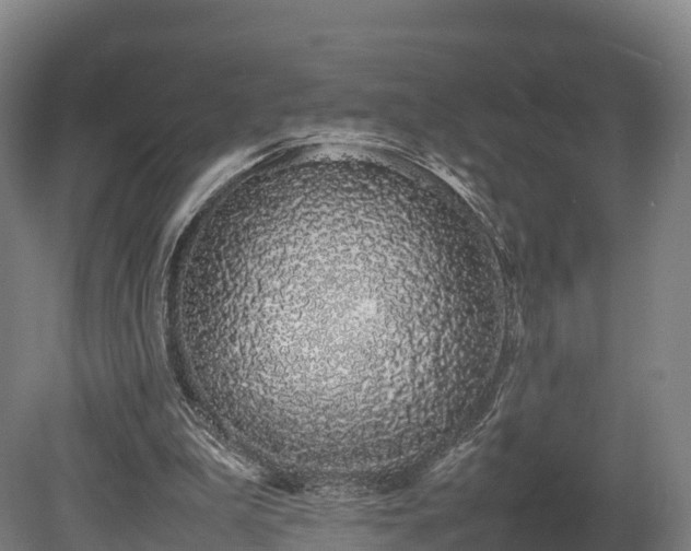X0000080110199200612151655