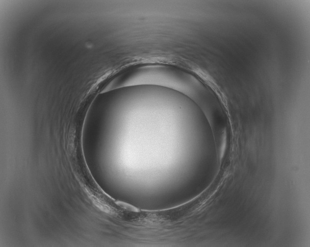 X0000080110201200612151655