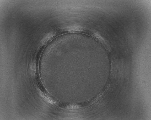 X0000080110202200612151655
