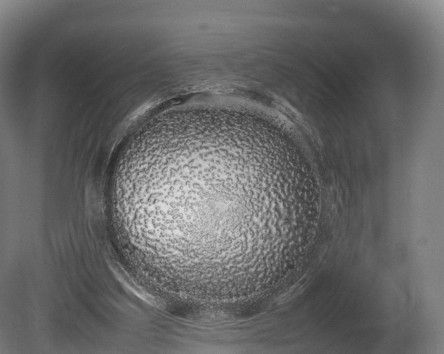 X0000080110203200612151655