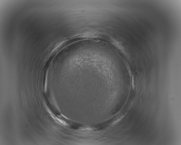 X0000080110205200612151655