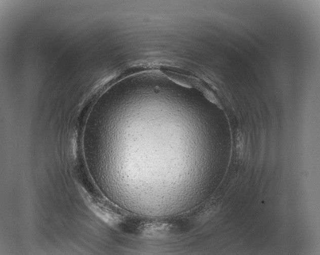 X0000080110206200612151655
