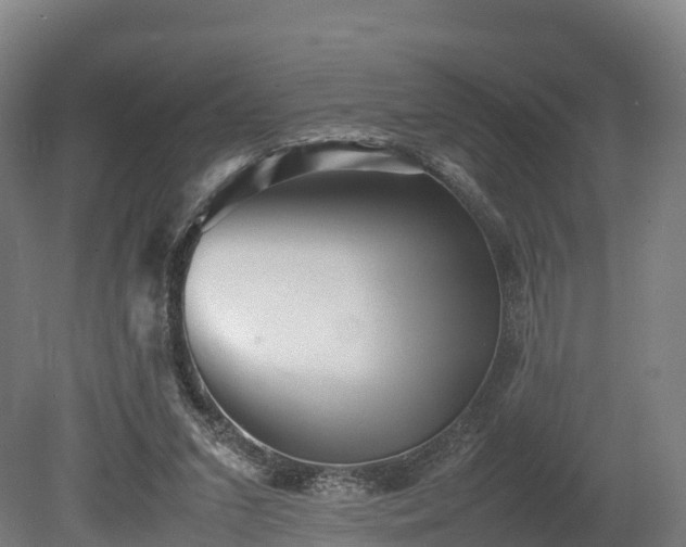 X0000080110207200612151655