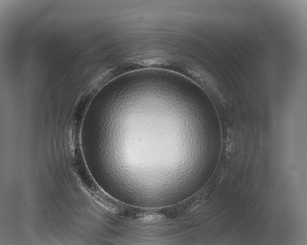 X0000080110210200612151655