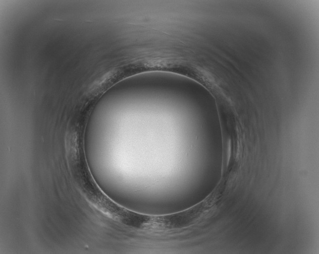 X0000080110211200612151655