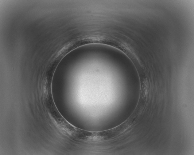 X0000080110212200612151655