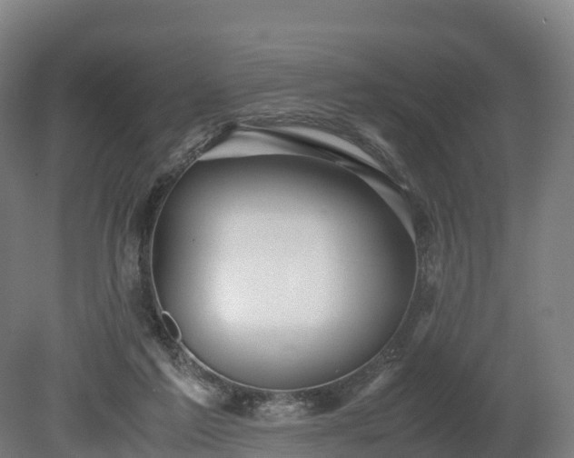 X0000080110213200612151655