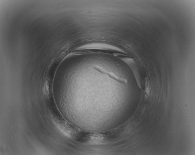X0000080110214200612151655