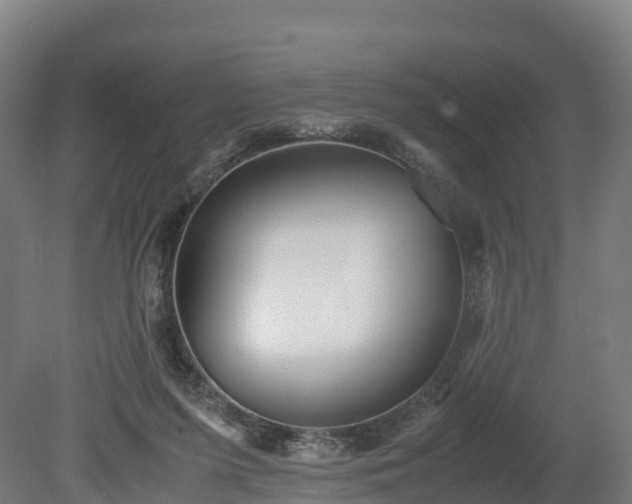 X0000080110215200612151655
