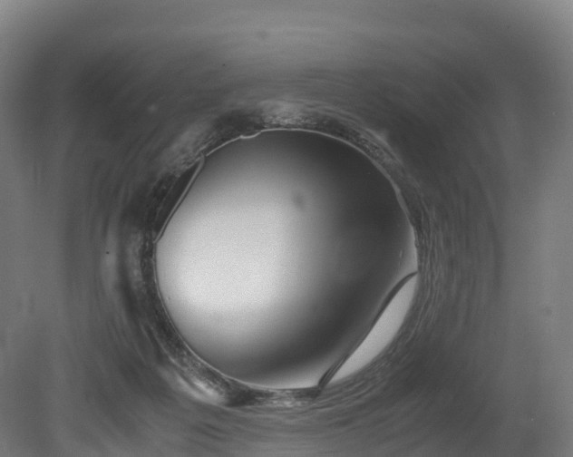 X0000080110217200612151655