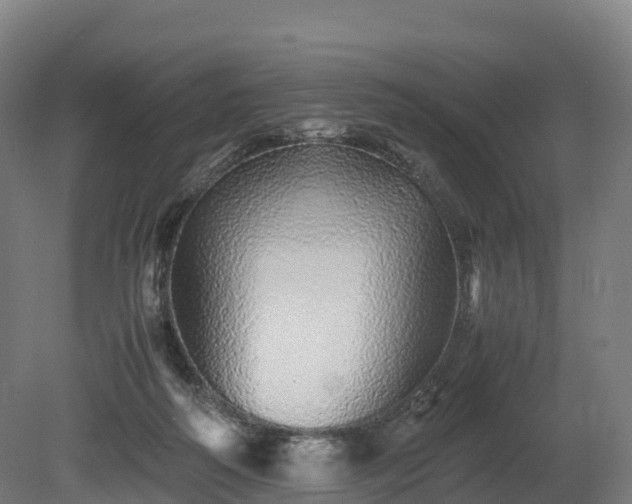 X0000080110218200612151655