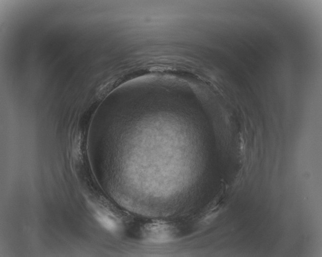 X0000080110219200612151655