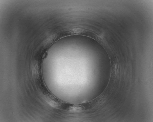 X0000080110220200612151655
