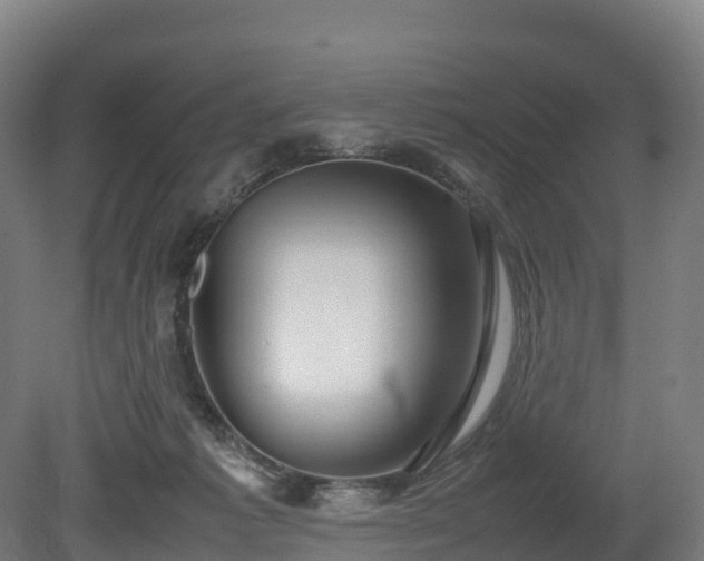 X0000080110221200612151655