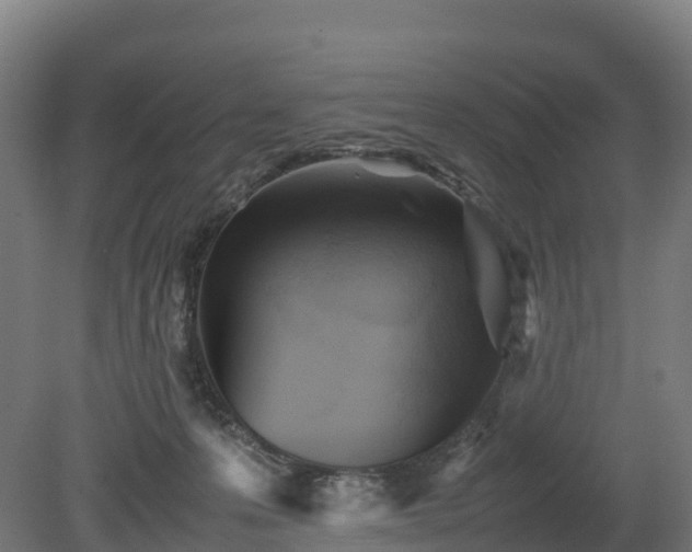 X0000080110223200612151655