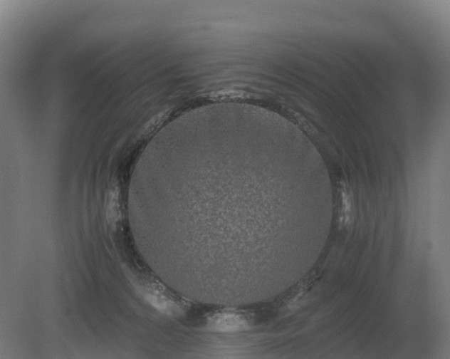 X0000080110224200612151655