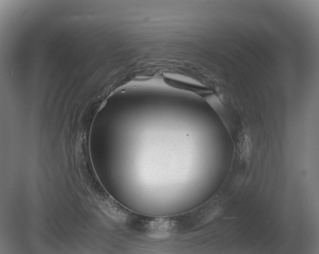 X0000080110225200612151655