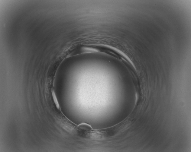 X0000080110229200612151655