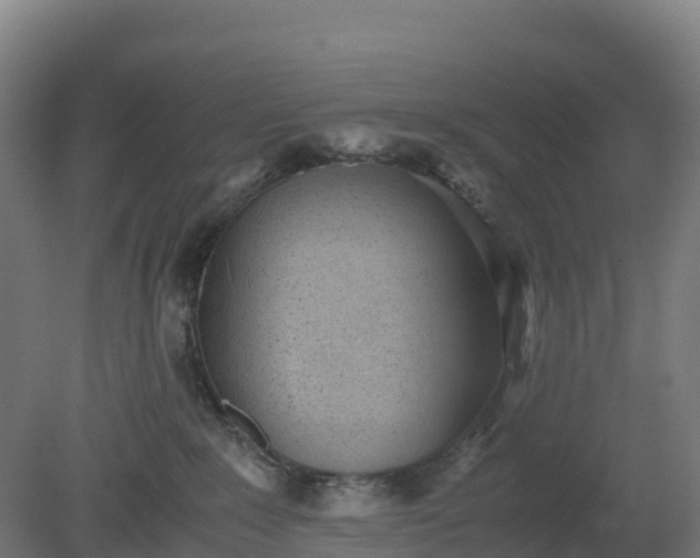 X0000080110235200612151655