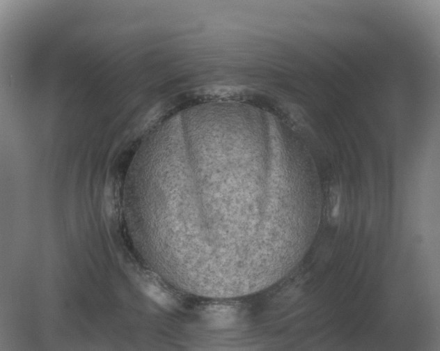 X0000080110236200612151655