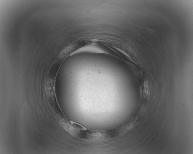 X0000080110237200612151655