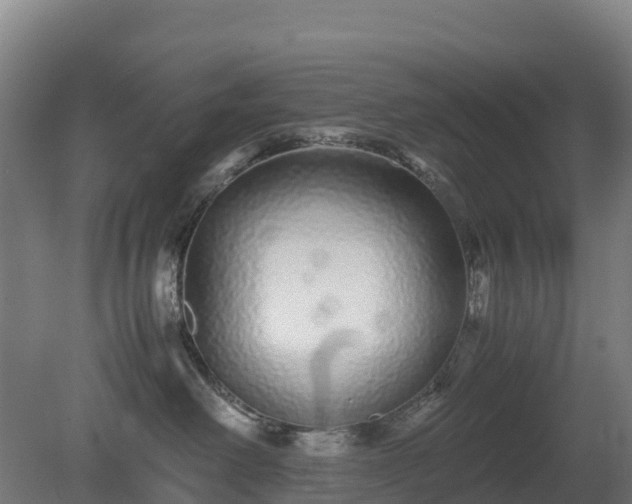 X0000080110238200612151655