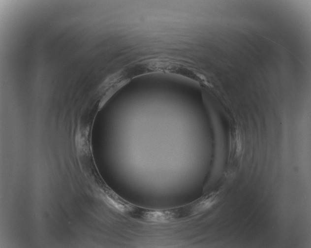 X0000080110239200612151655