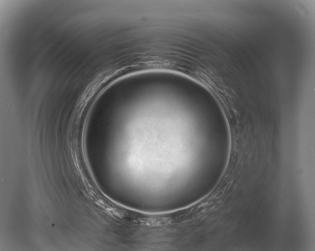 X0000080110241200612151654