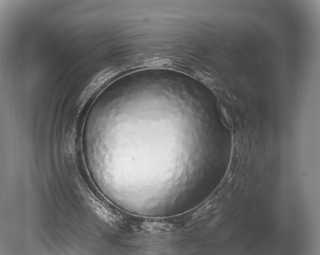 X0000080110242200612151654