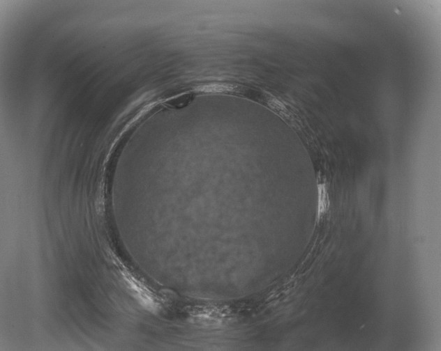 X0000080110243200612151654