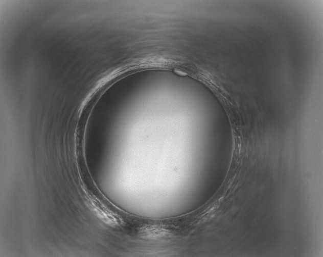 X0000080110244200612151654