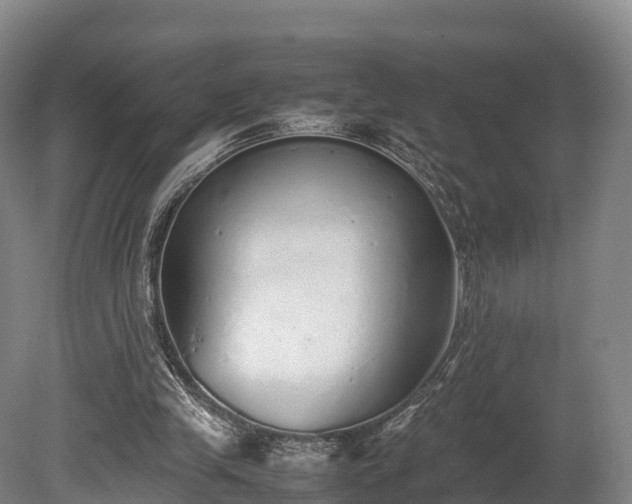 X0000080110245200612151654