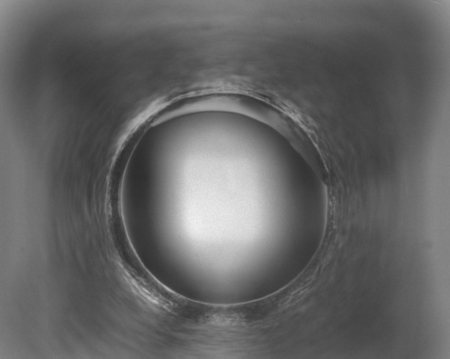 X0000080110248200612151654