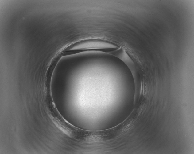 X0000080110252200612151654