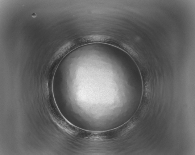 X0000080110254200612151654