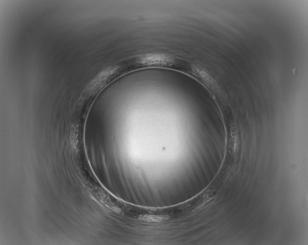 X0000080110255200612151654
