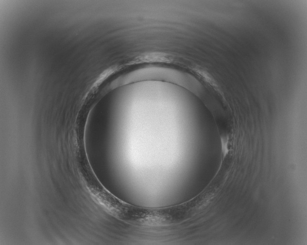 X0000080110256200612151654