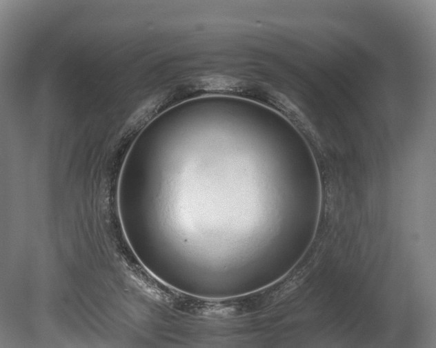 X0000080110257200612151654