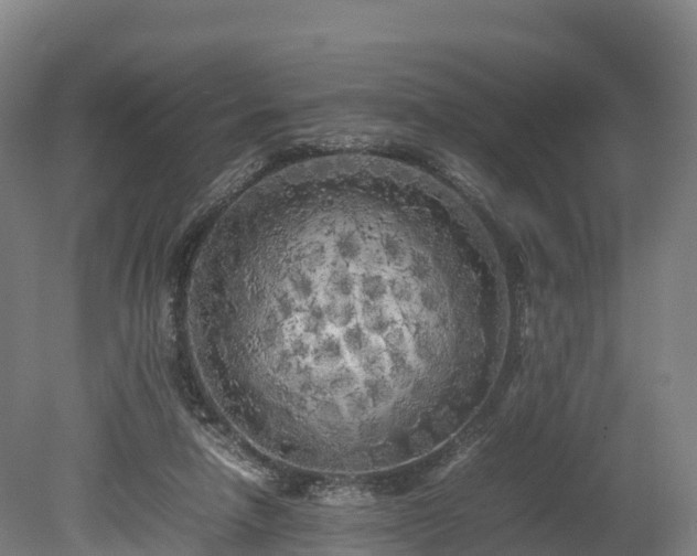 X0000080110258200612151654
